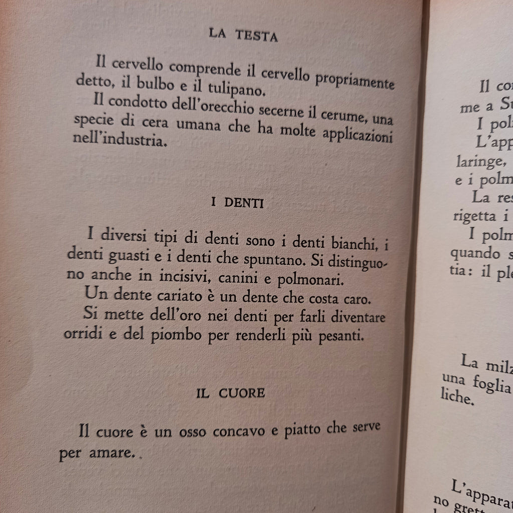 La fiera delle castronerie