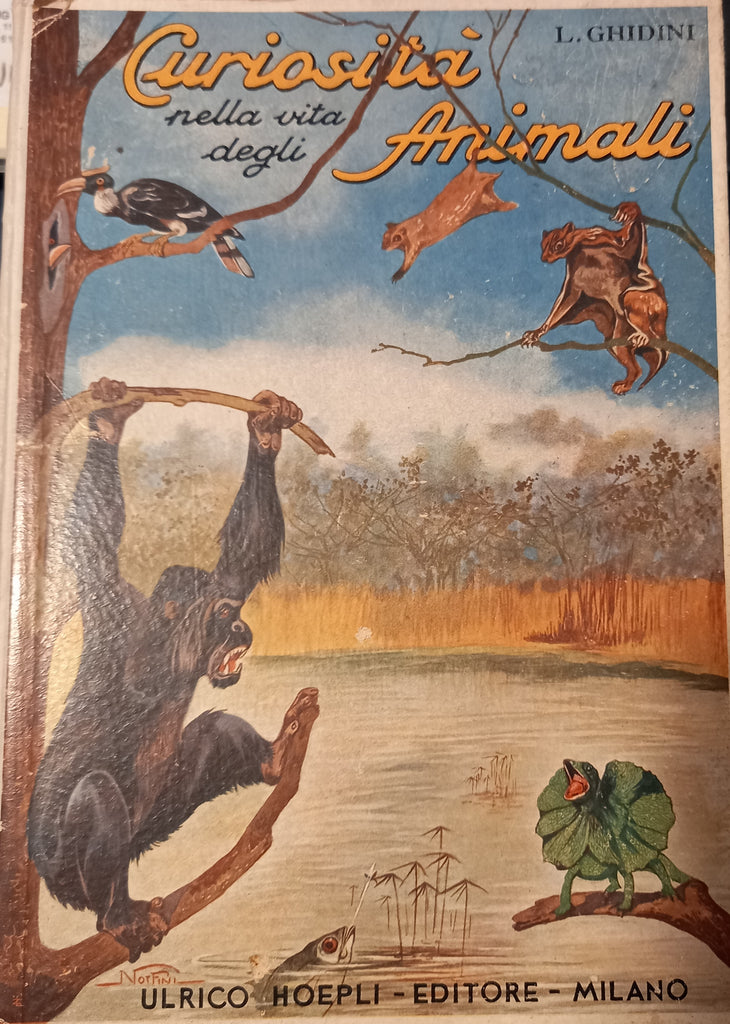 Curiosità nella vita degli animali