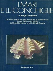I mari e le conchiglie