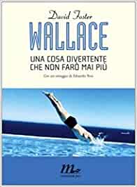 Una cosa divertente che non farò mai più