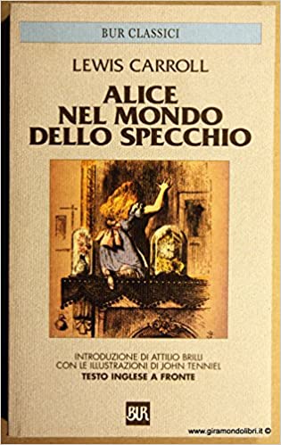 Alice nel mondo dello specchio