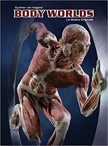 Body worlds. La mostra originale.