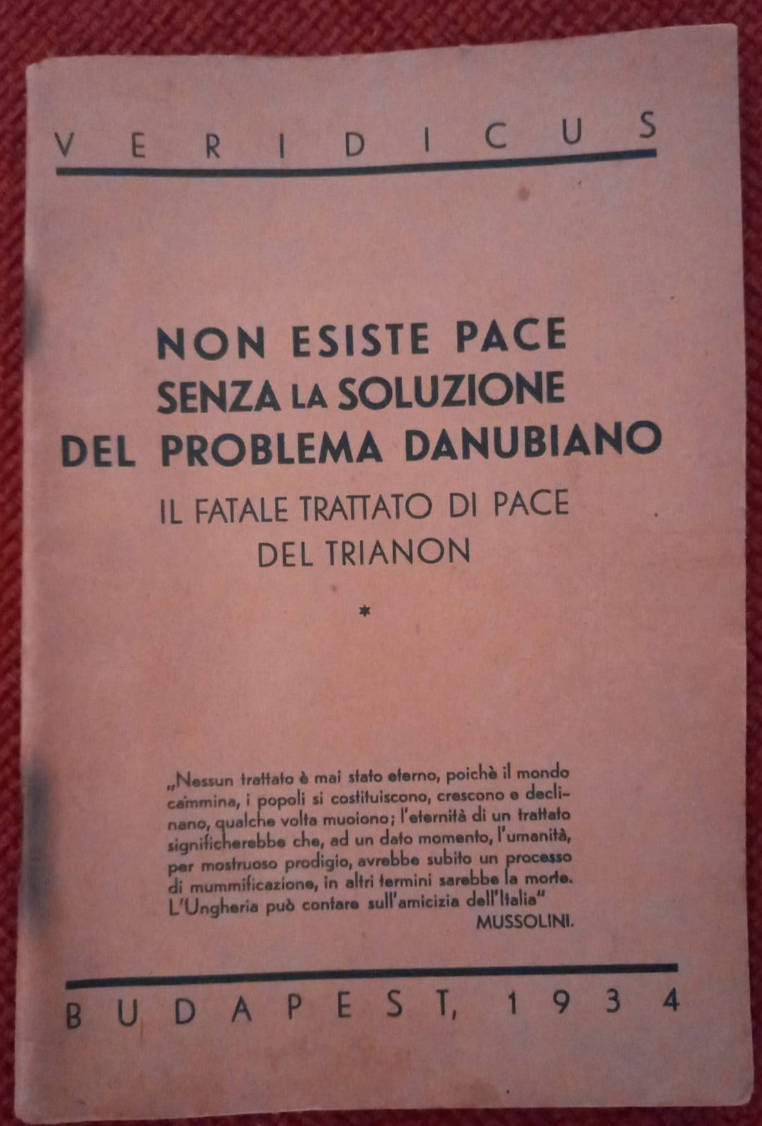 Non Esiste Pace Senza La Soluzione Del Problema Danubiano. Il Fatale Trattato Di Pace Del Trianon.
