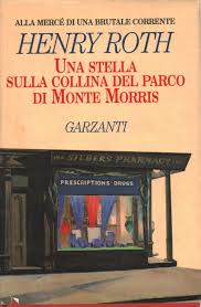 Una stella sulla collina del parco di Monte Morris