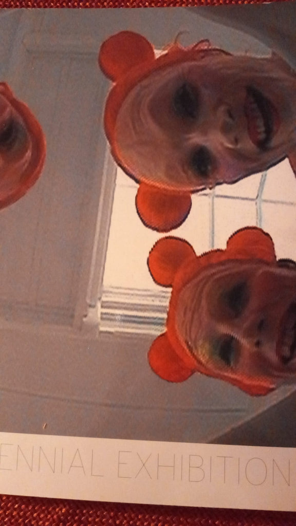 1995 biennale exhibition