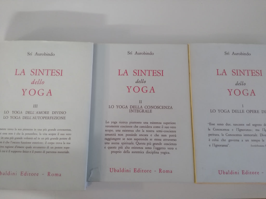 La sintesi dello Yoga